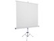 Ecran Portable Byron 2 avec Trépied 180 x 180 cm